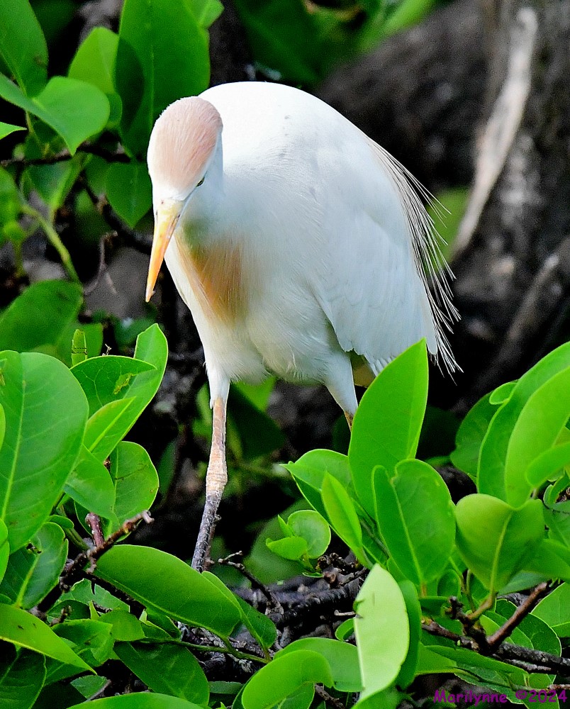 DSC_3183_001.JPG