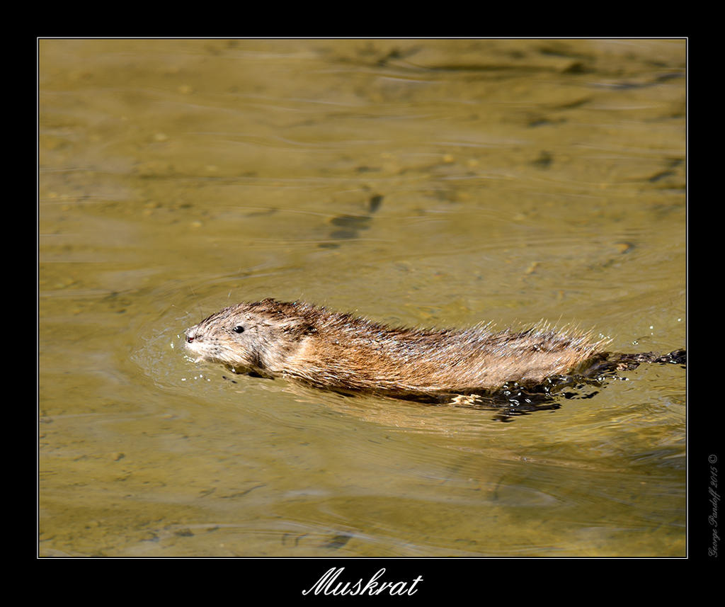 DSC_3187_Web.jpg
