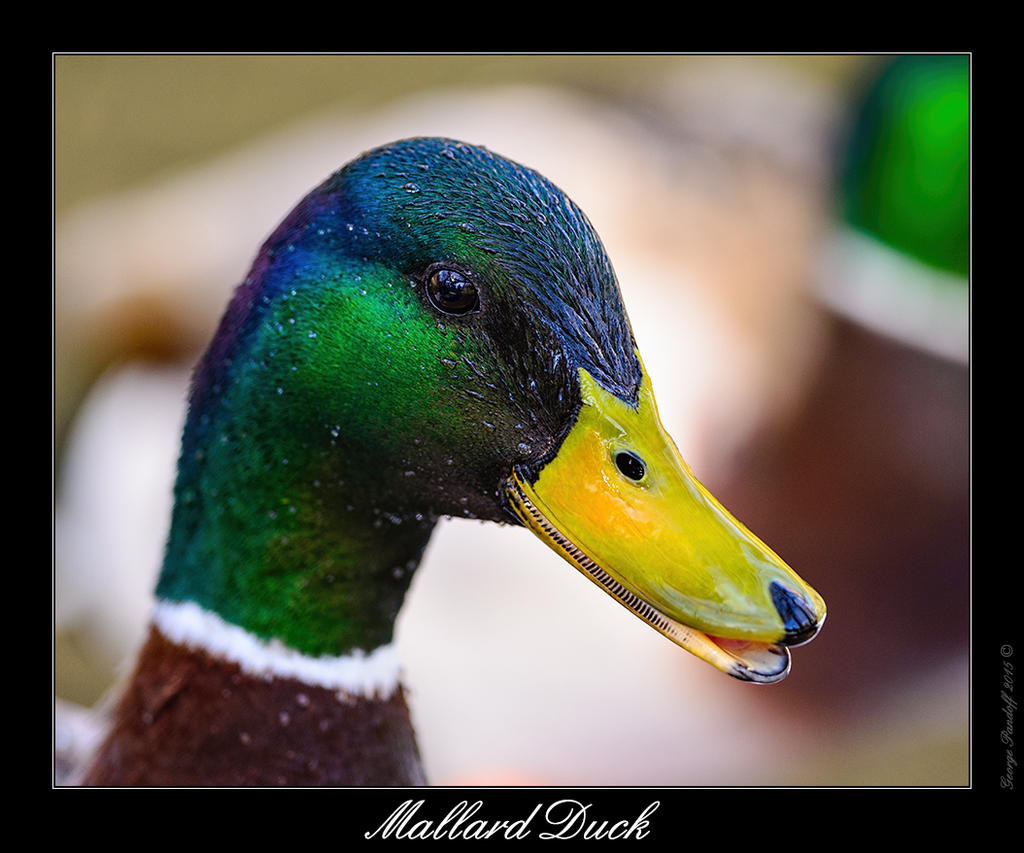 DSC_3199_Web.jpg