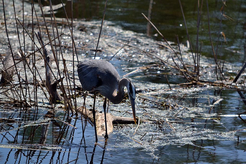DSC_3202.jpg
