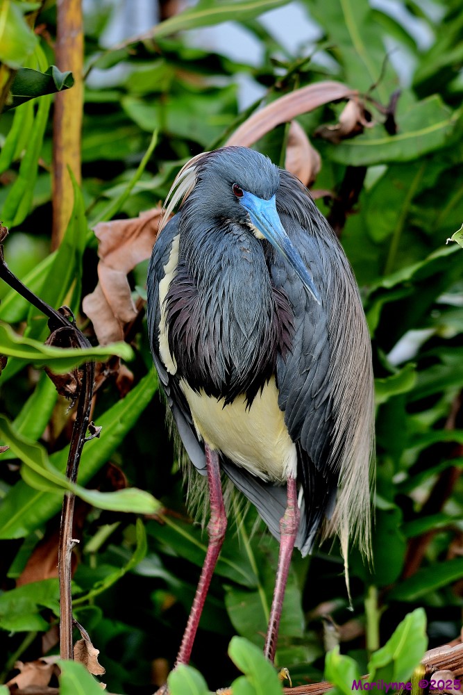 DSC_3202_001.JPG