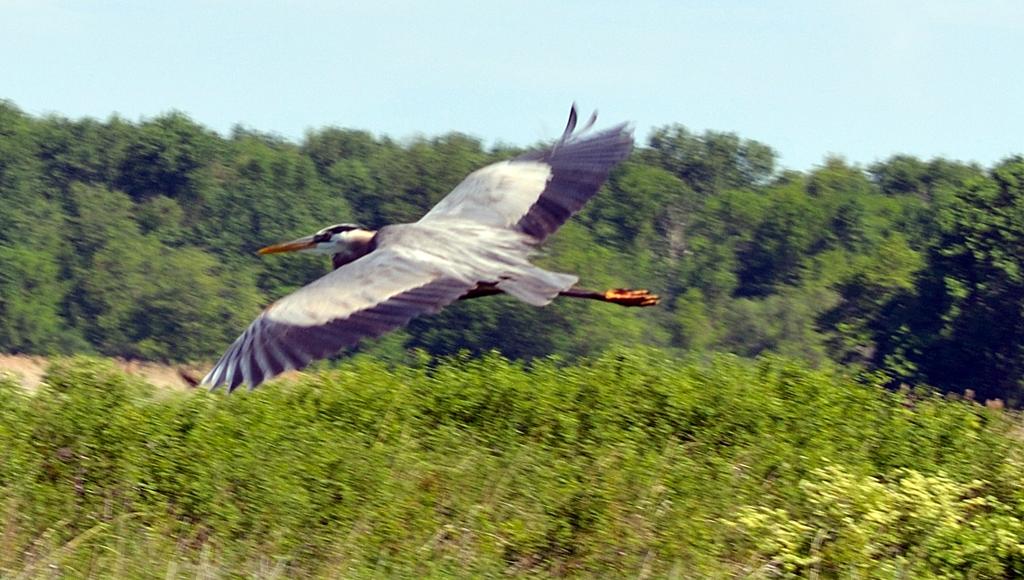DSC_3205.jpg