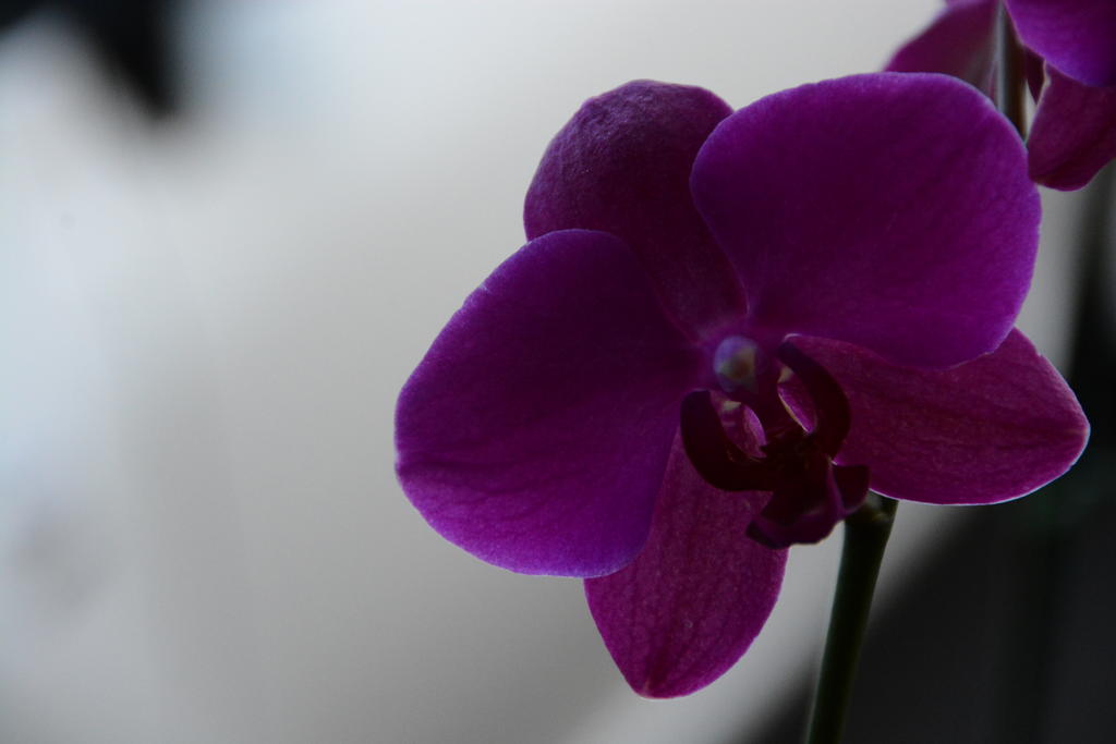 DSC_3206.jpg