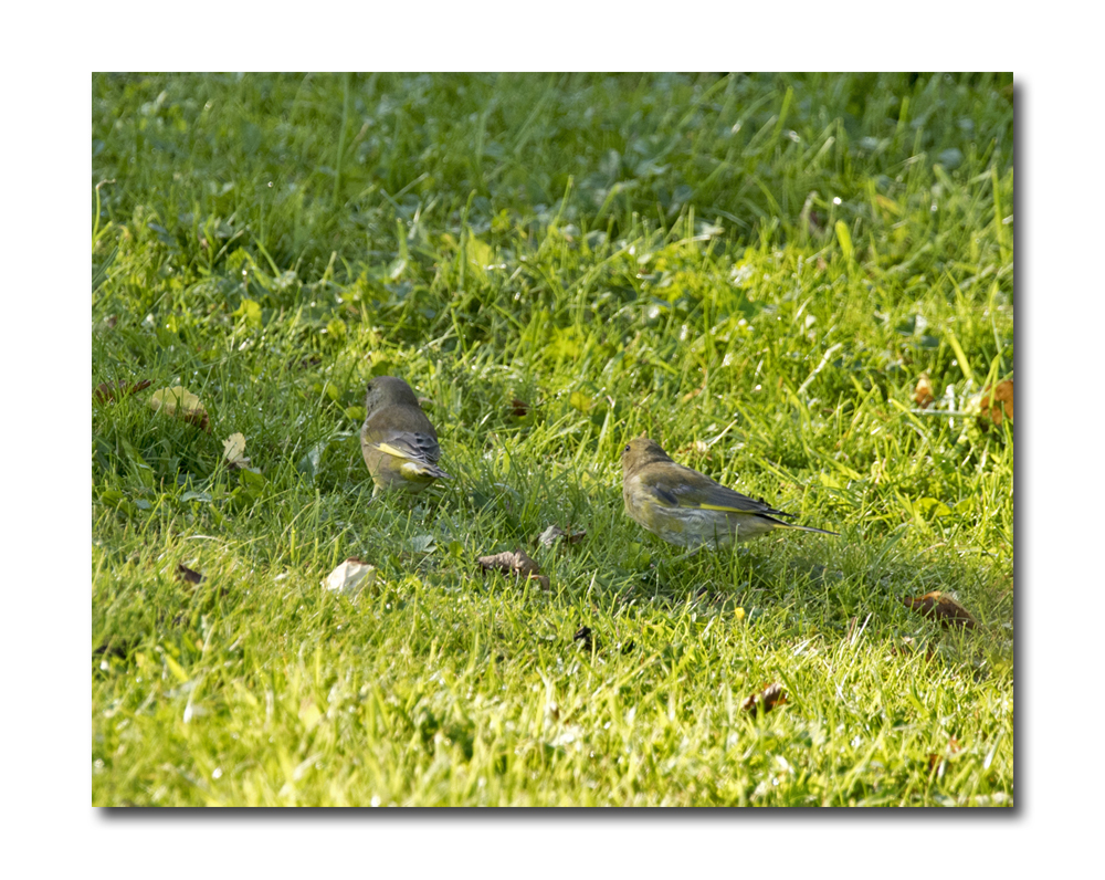 DSC_3207.jpg