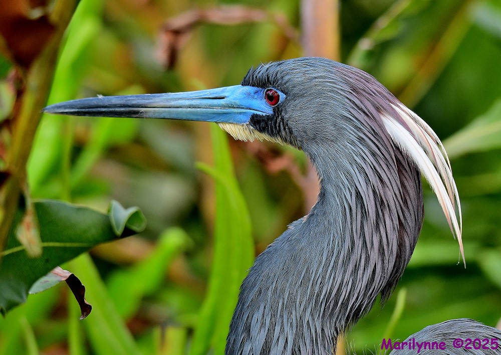DSC_3207_001.JPG