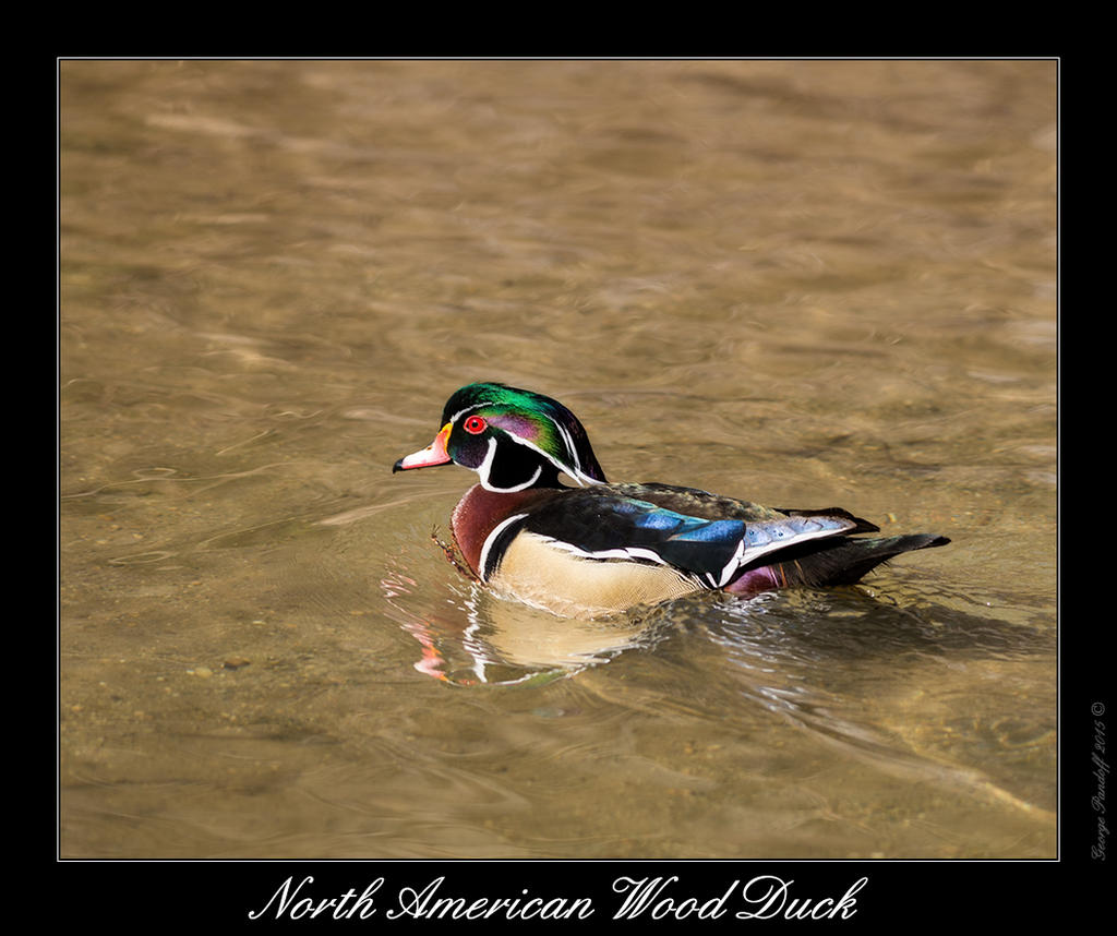 DSC_3207_Web.jpg