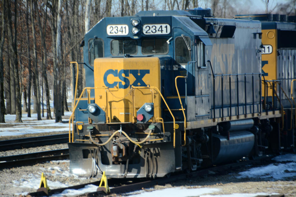 DSC_3208.jpg