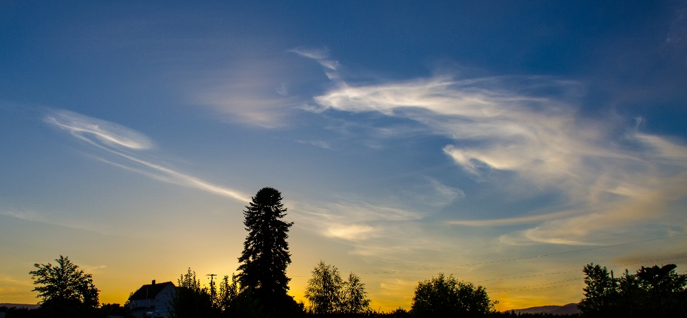 DSC_3212 (1000x464).jpg
