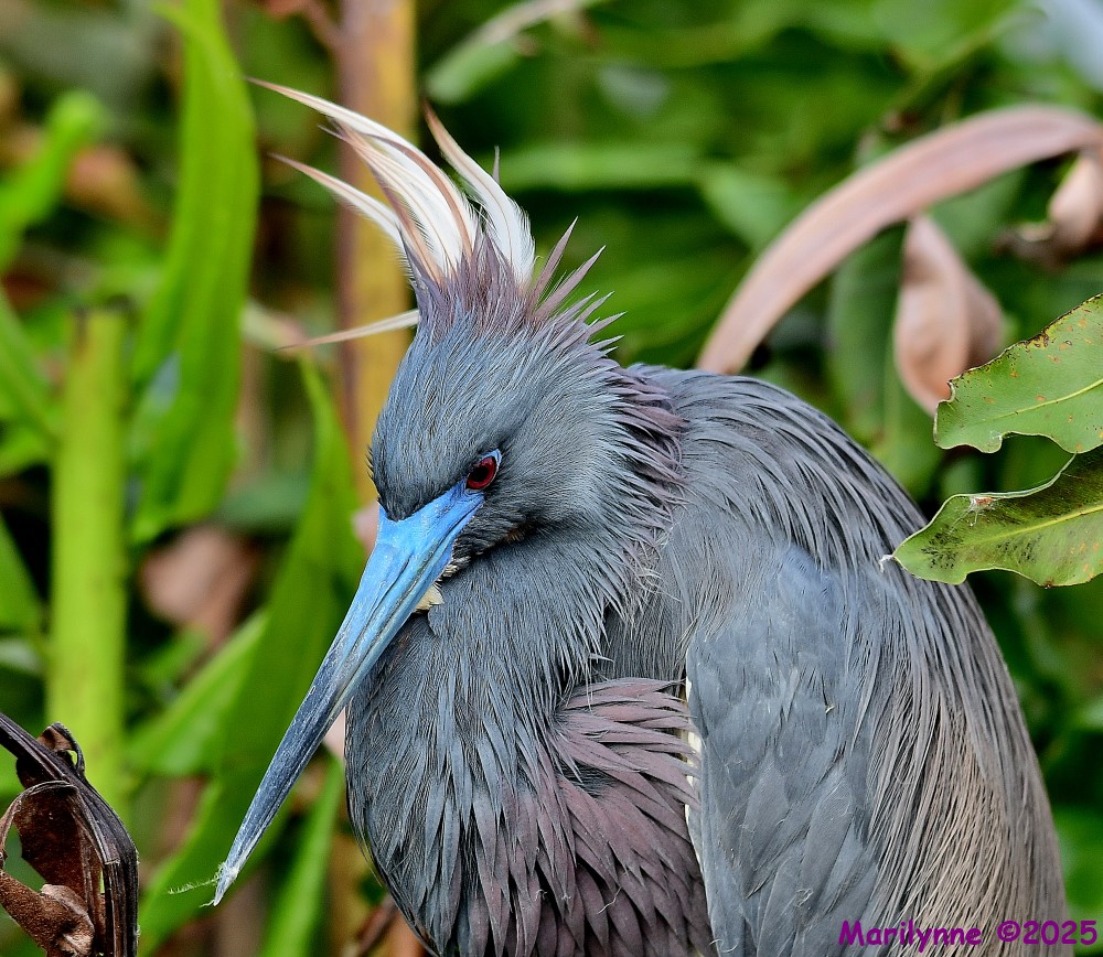 DSC_3213_001.JPG