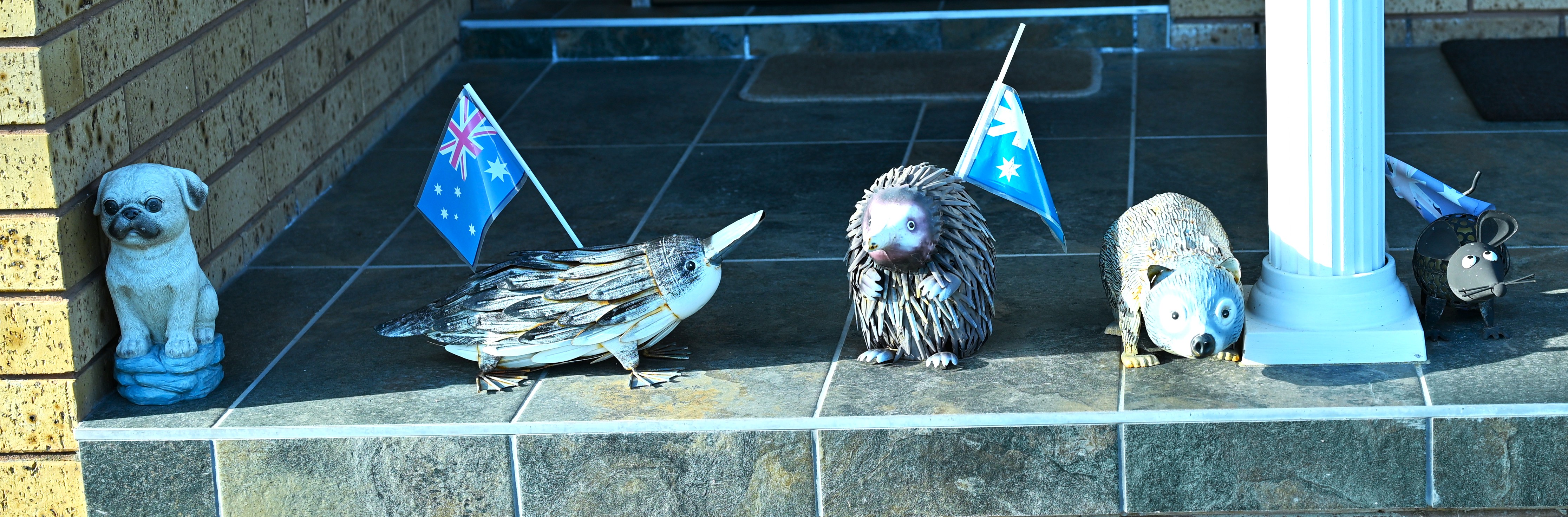 DSC_3214.JPG