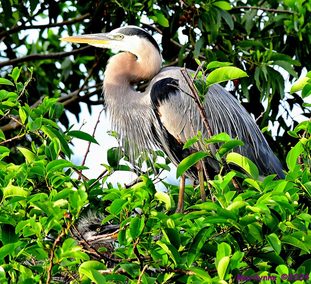 DSC_3214_001.JPG