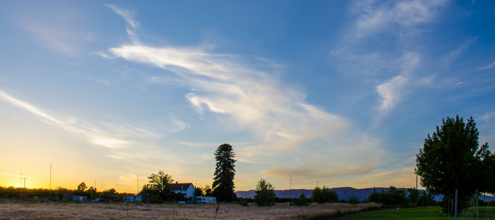 DSC_3220 (1000x445).jpg
