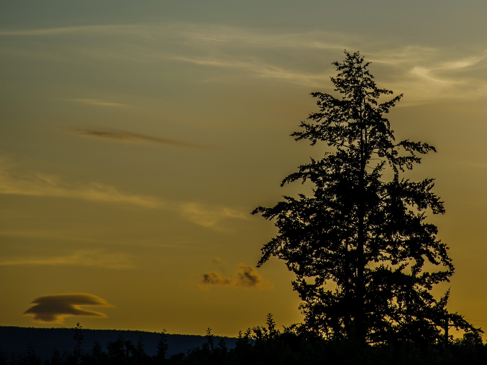 DSC_3223 (1000x751).jpg