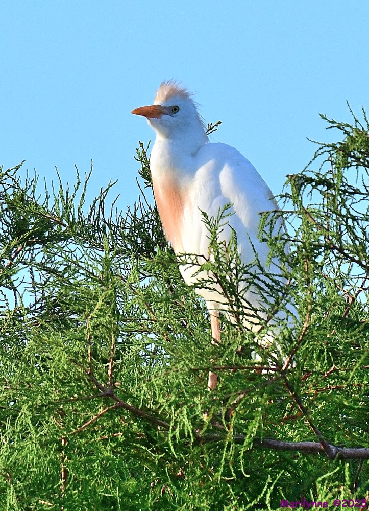 DSC_3224_001.JPG