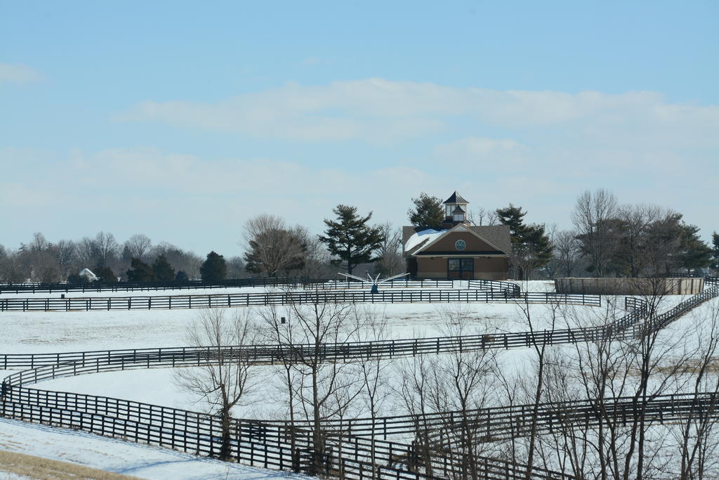 DSC_3239.jpg