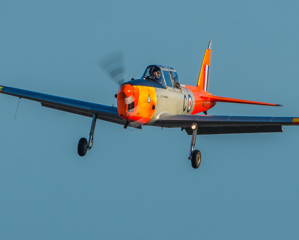DSC_3243.jpg
