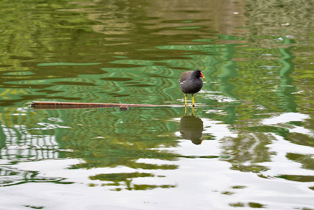 DSC_3244.jpg