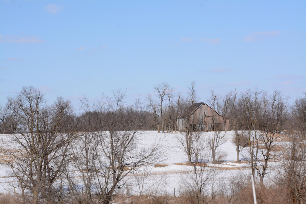 DSC_3248.jpg