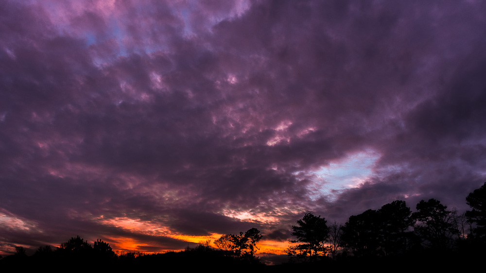 DSC_3252-Edit-2.jpg
