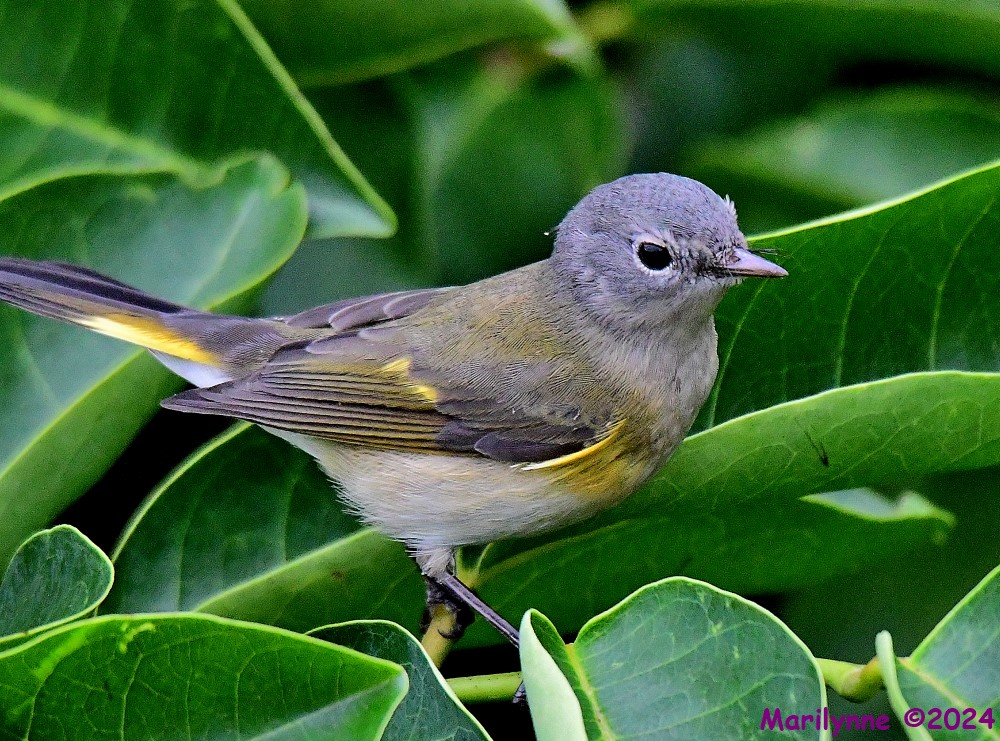 DSC_3255_001.JPG