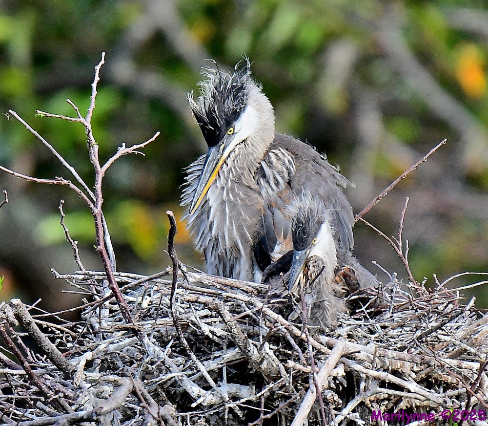 DSC_3256_001.JPG