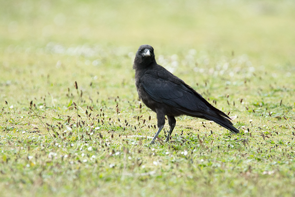 DSC_3257.jpg