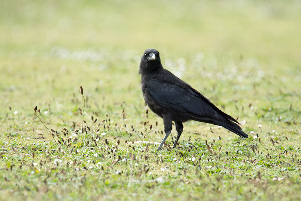 DSC_3258.jpg