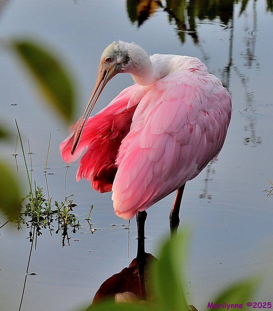 DSC_3260_001.JPG