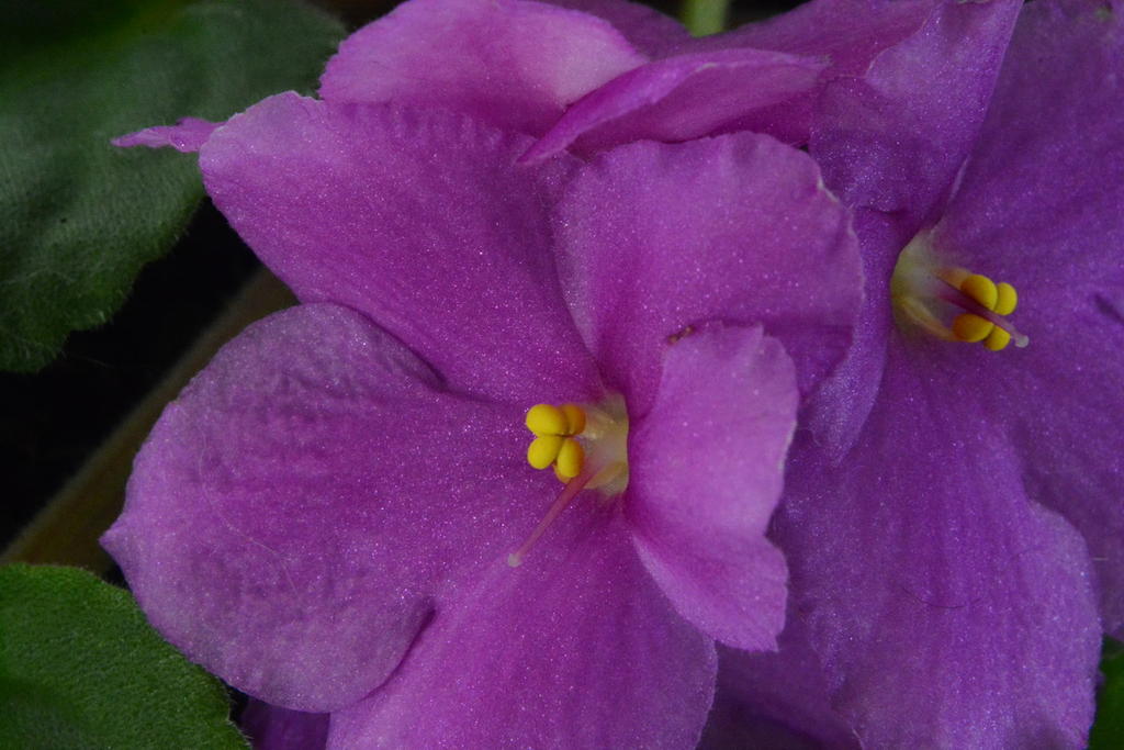 DSC_3261.jpg