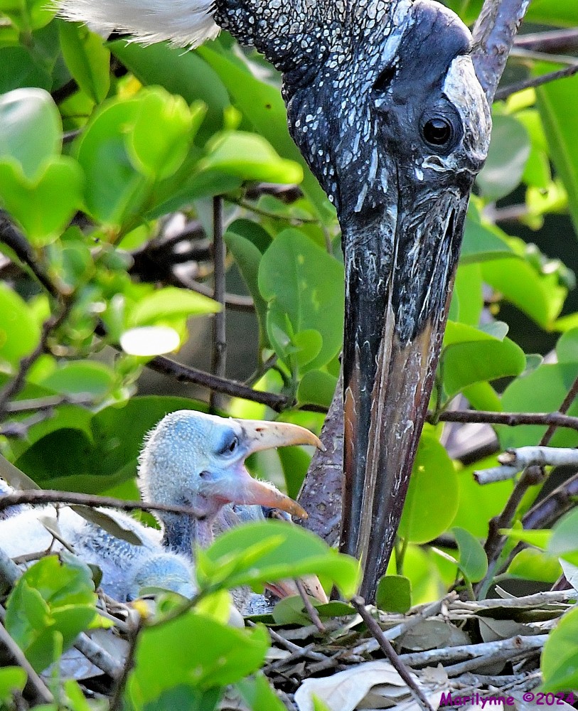 DSC_3262_001.JPG