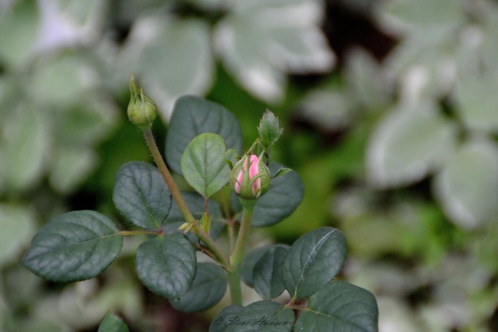DSC_3263.jpg