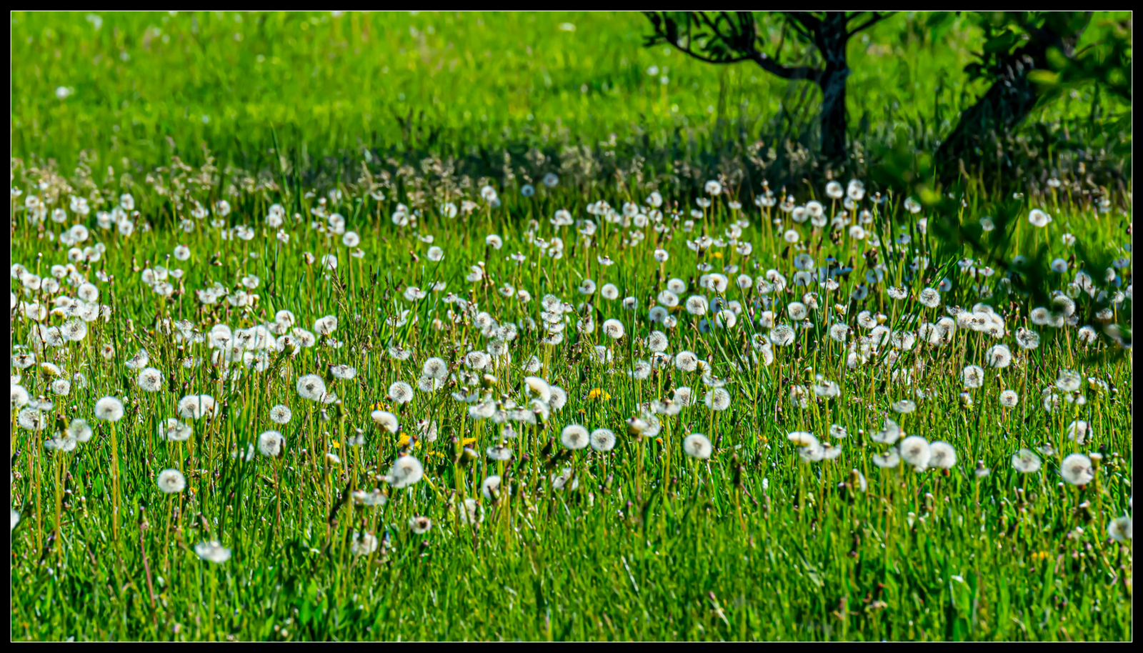 DSC_3268.JPG