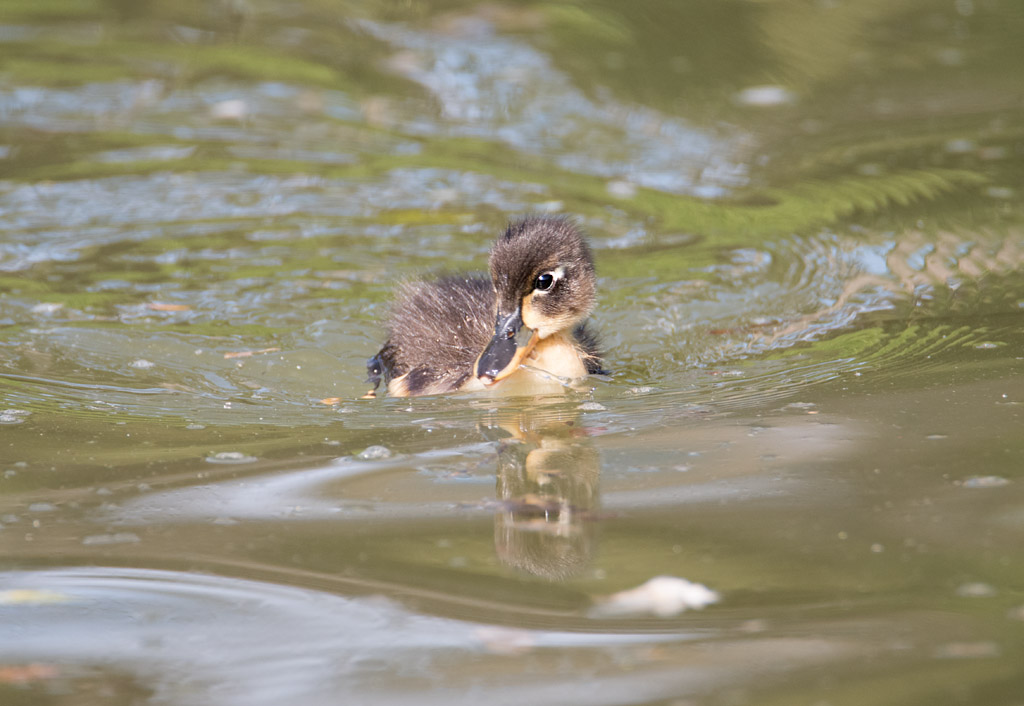 DSC_3270.jpg