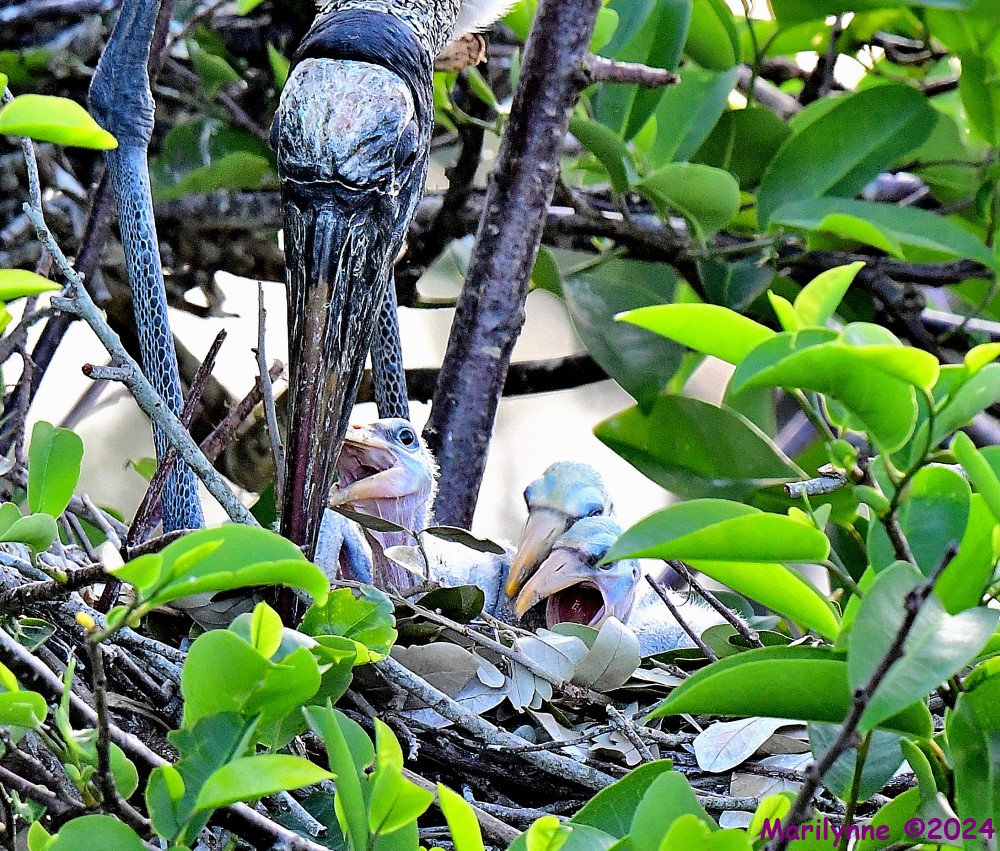 DSC_3270_001.JPG