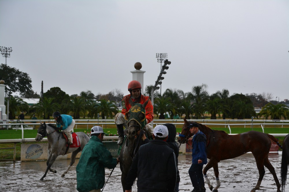 DSC_3272.JPG