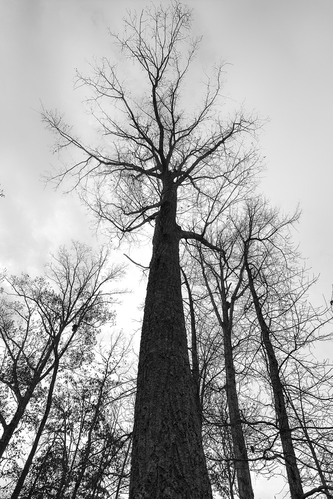 DSC_3277-2.jpg