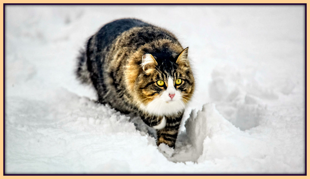 DSC_3277-Edit.jpg