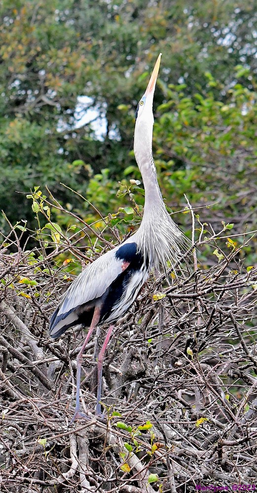 DSC_3277_001.JPG