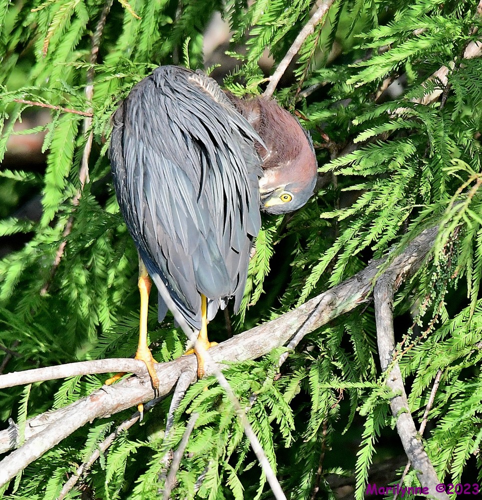 DSC_3278_001.JPG