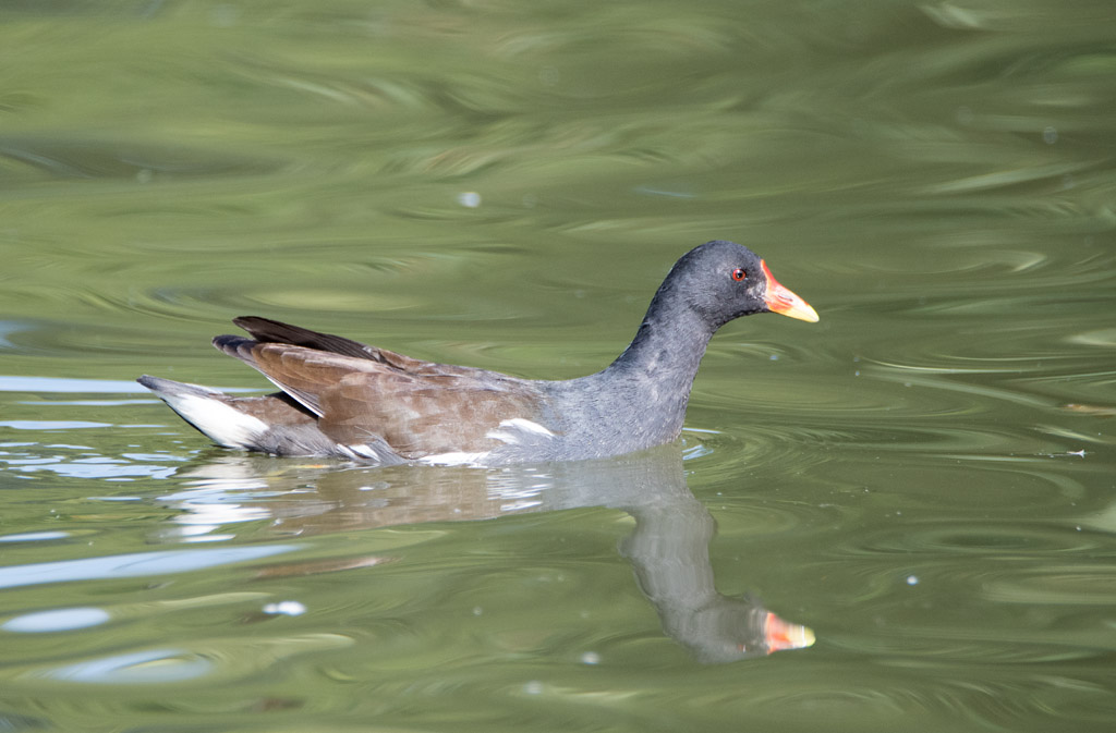 DSC_3280.jpg