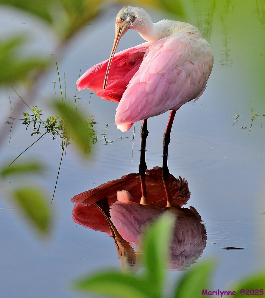 DSC_3280_stitch3_001.JPG