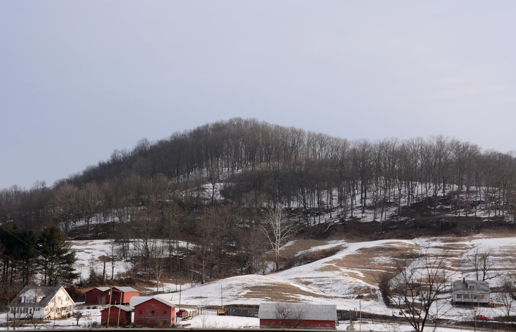 DSC_3282.jpg