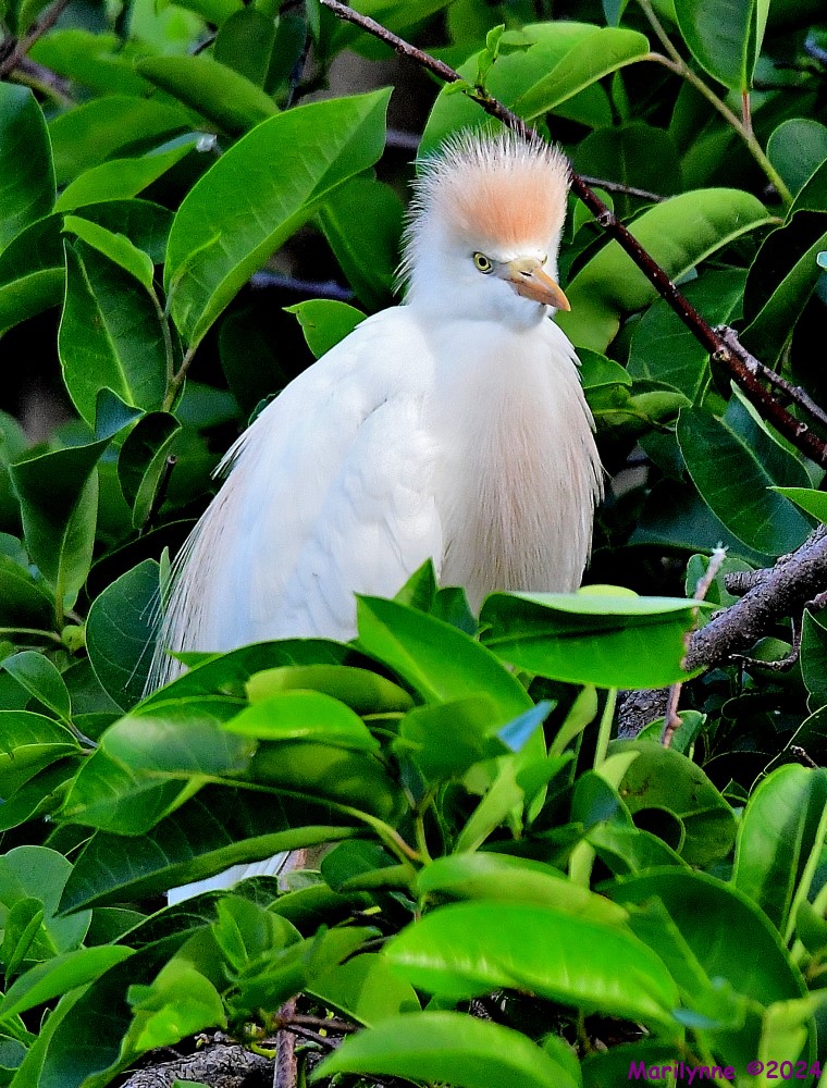 DSC_3282_001.JPG