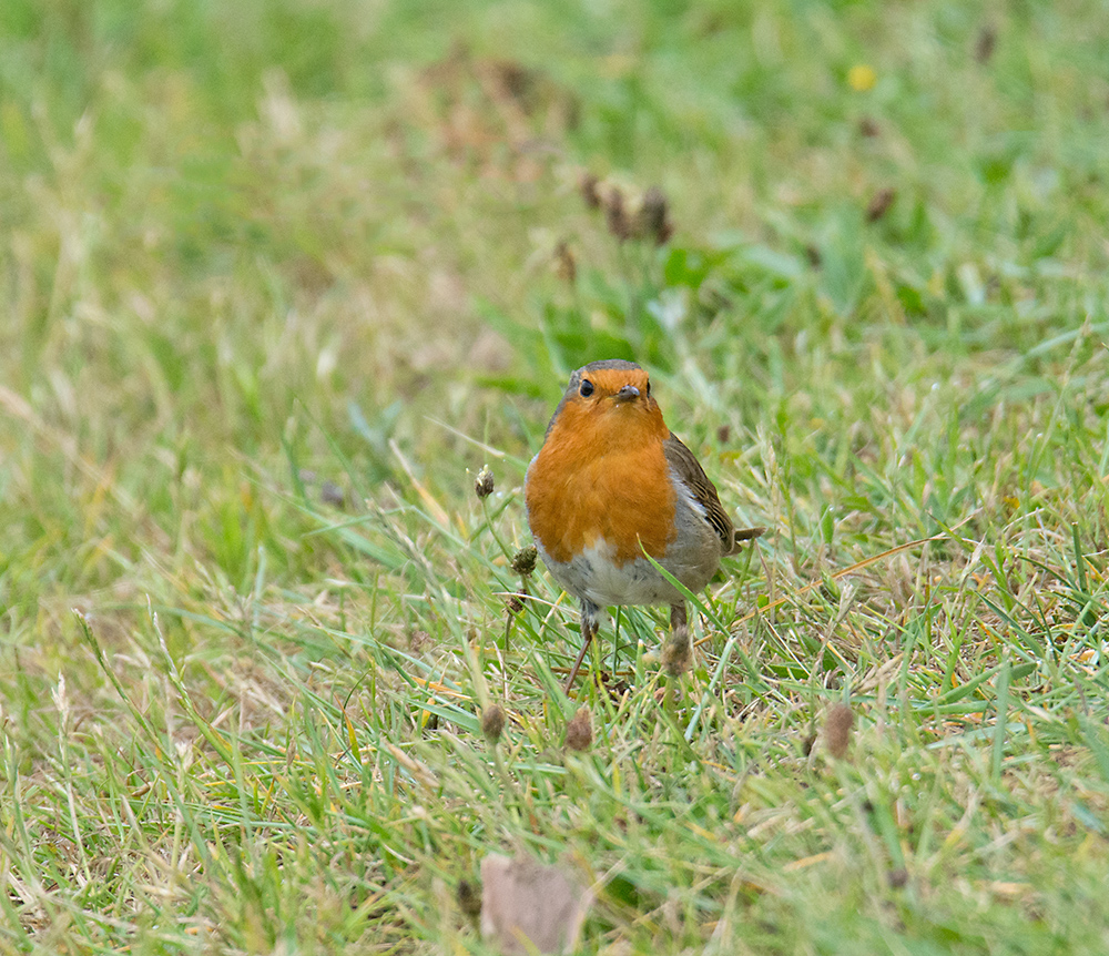 DSC_3283.jpg