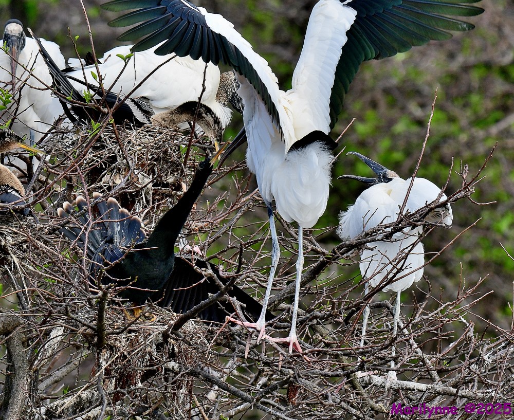 DSC_3285_001.JPG