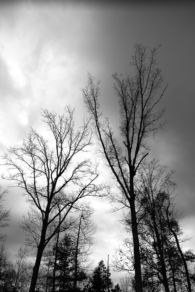 DSC_3286-Edit-2.jpg