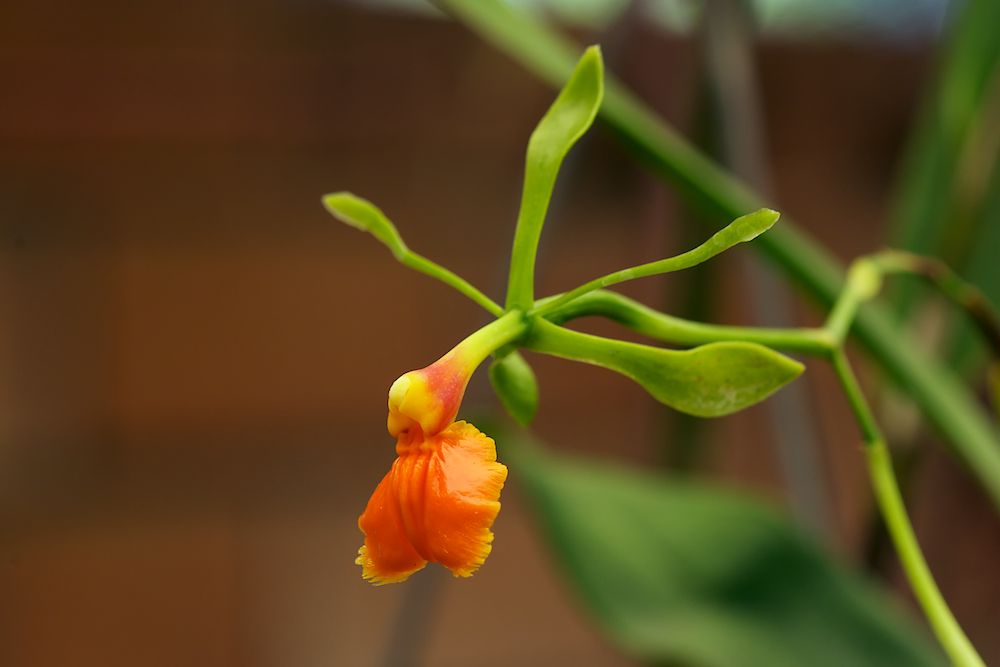 DSC_3289.jpg