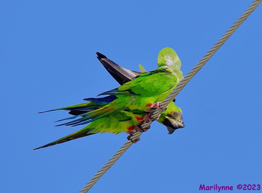 DSC_3294_001.JPG