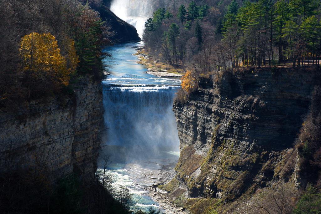 DSC_3295.jpg