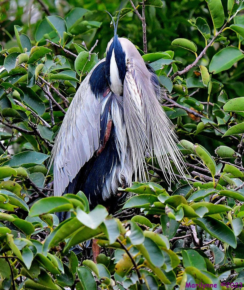 DSC_3297_001.JPG